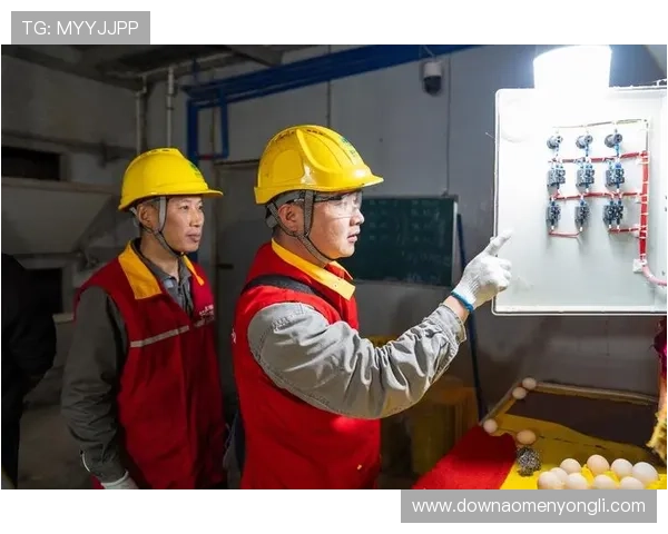 深入分析永利真人信誉体系如何确保玩家资金安全与公平游戏环境的可靠保障